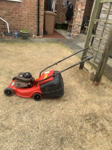 Petrol lawnmower - petrol,