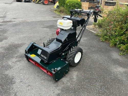 Hayter condor walk - hayter,